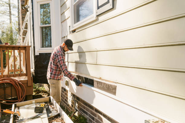 Top rated local Storm Damage Siding Repair specialists in Annandale, MN